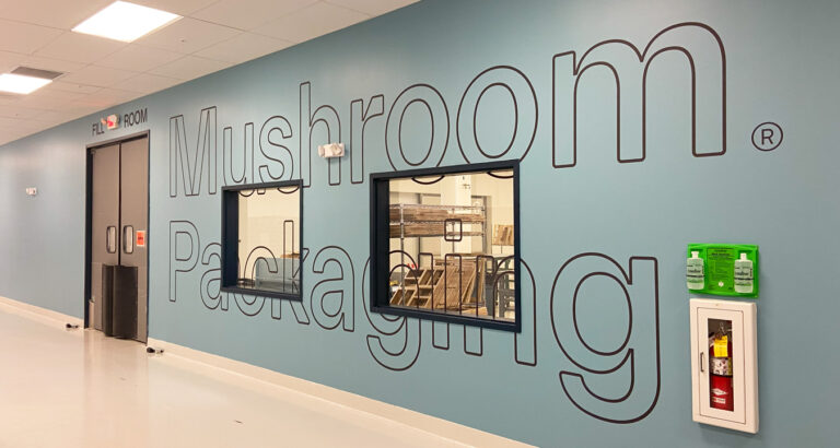 Wall Graphics Slide 01